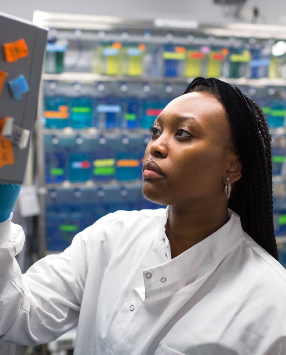 Presidential scholarships for students of Black heritage